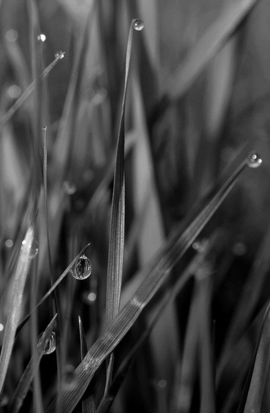 Sugarfree! by Jure Horvat
