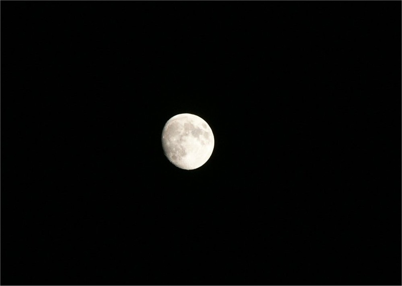 Luna by BC