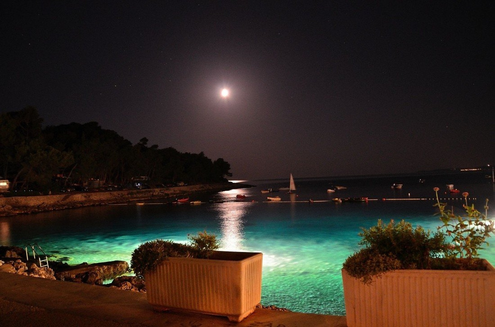 beautiful night by