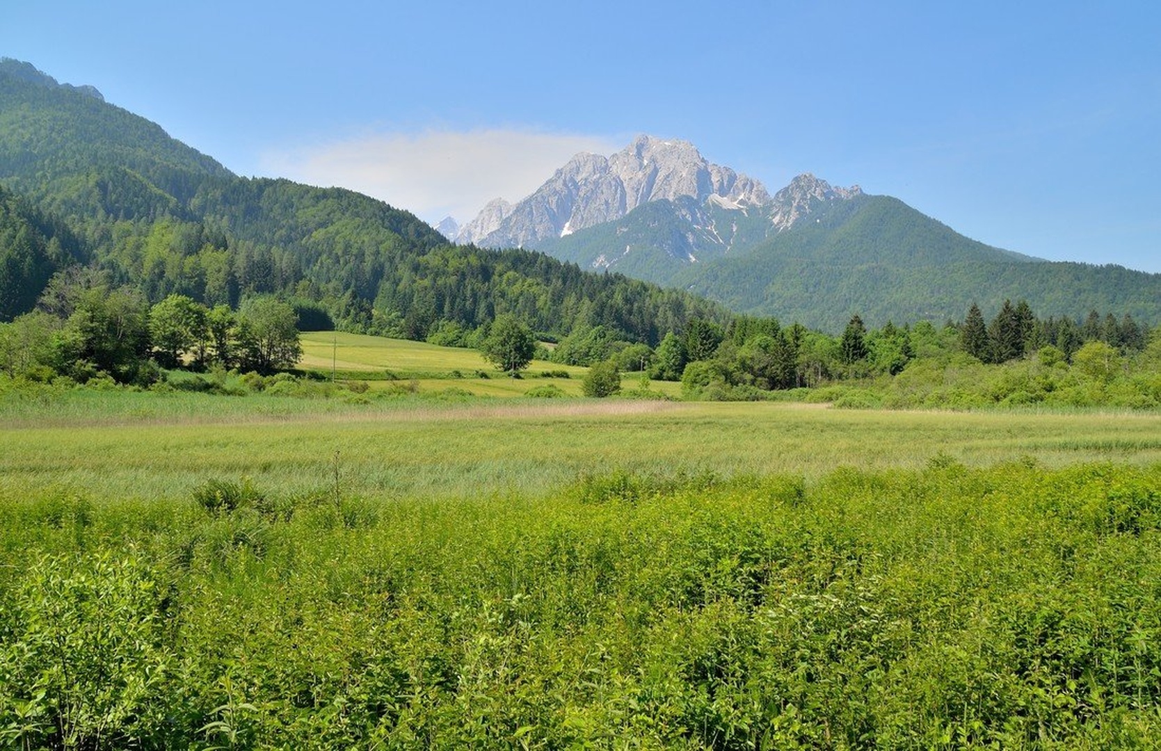 ZELENCI I by