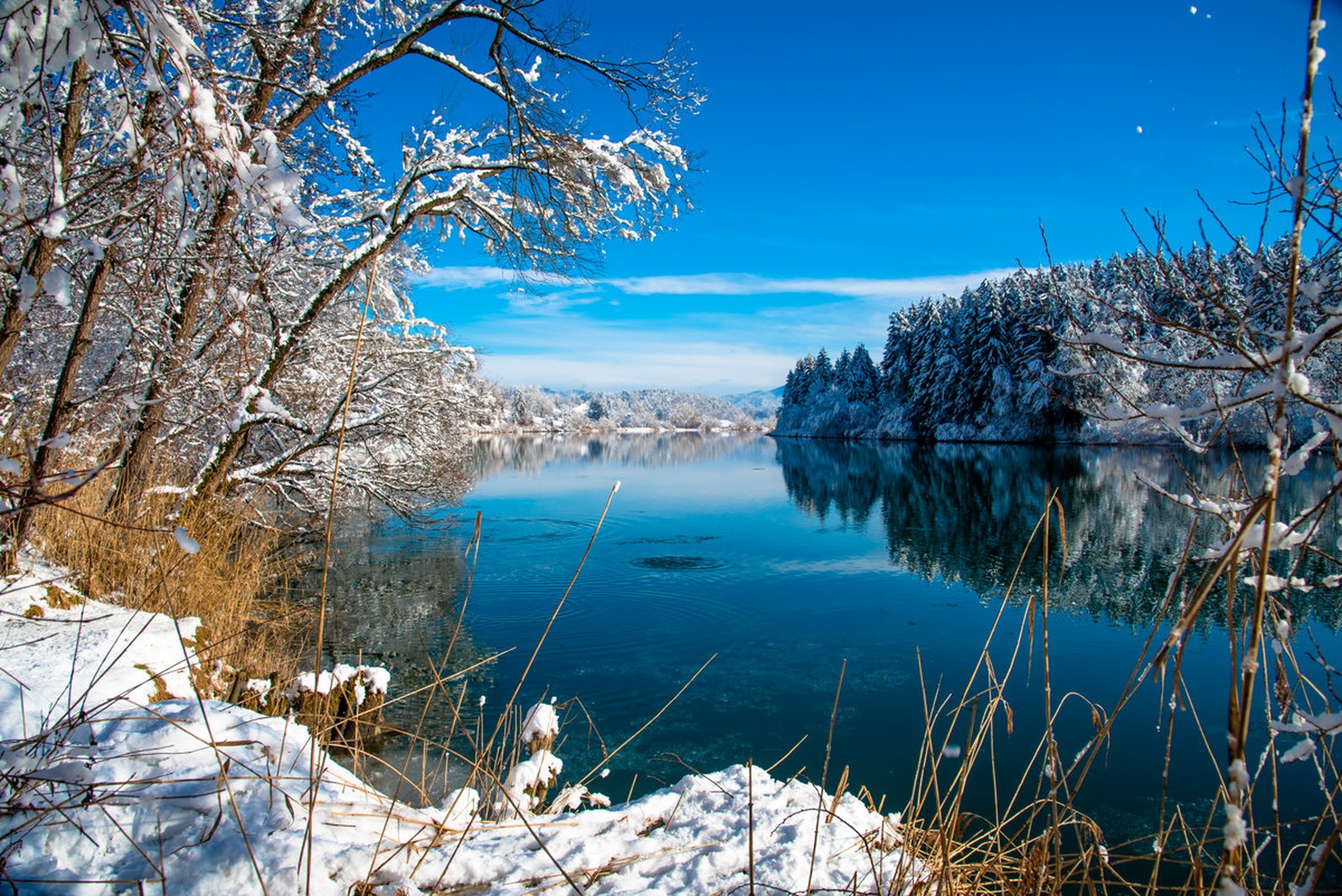 Drava by Domen P.
