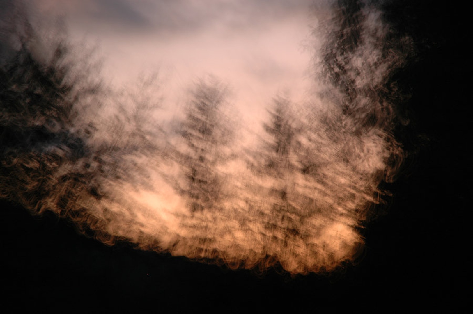 Gozdni ples by Domen P.