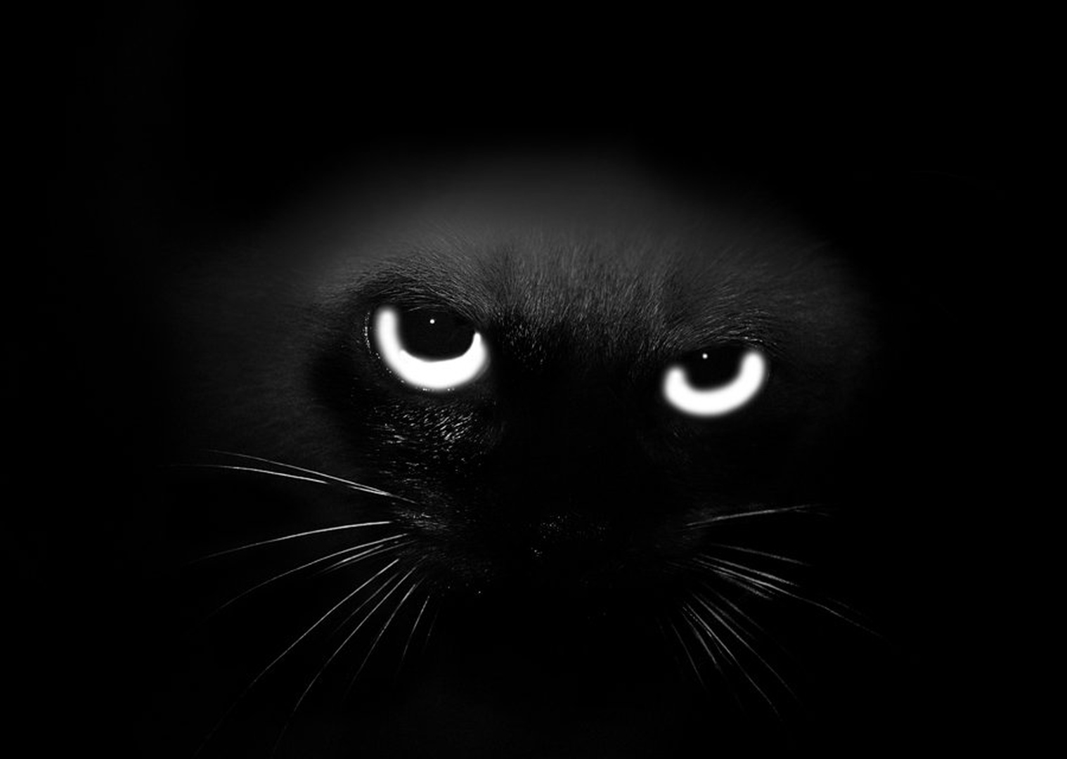 Angel of darkness 2 by Domen P.
