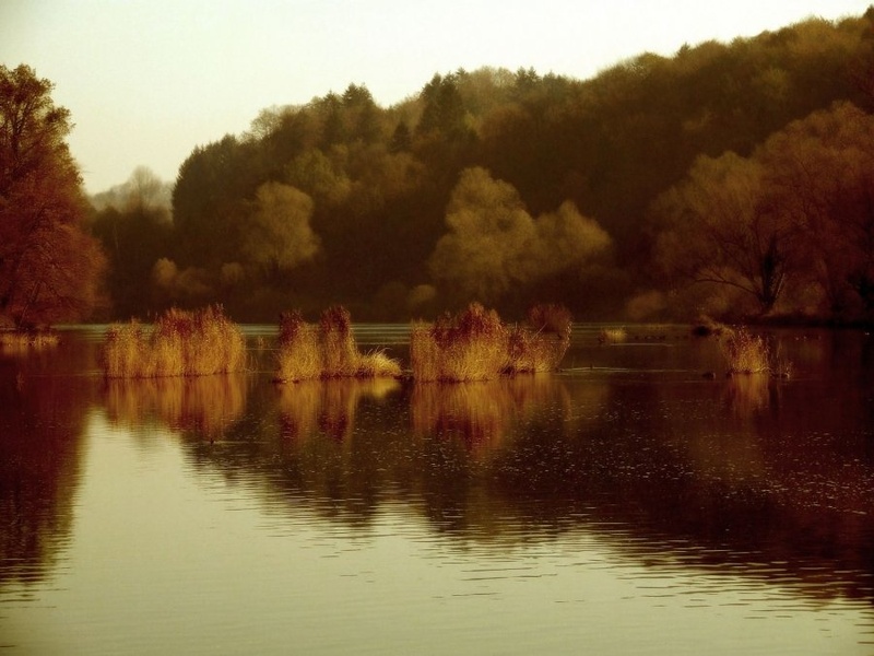 Jesenska serenada by werter