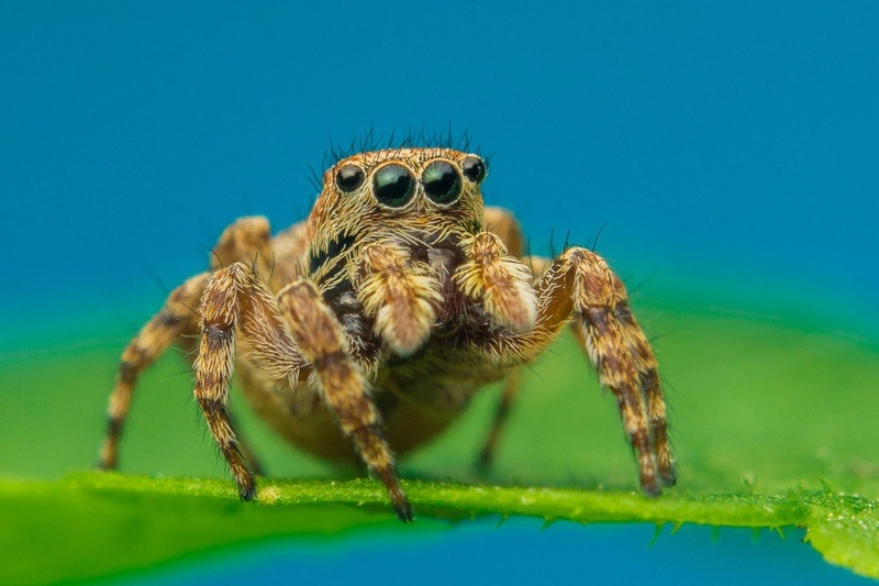 I'm jumpy by Tadej Trstenjak