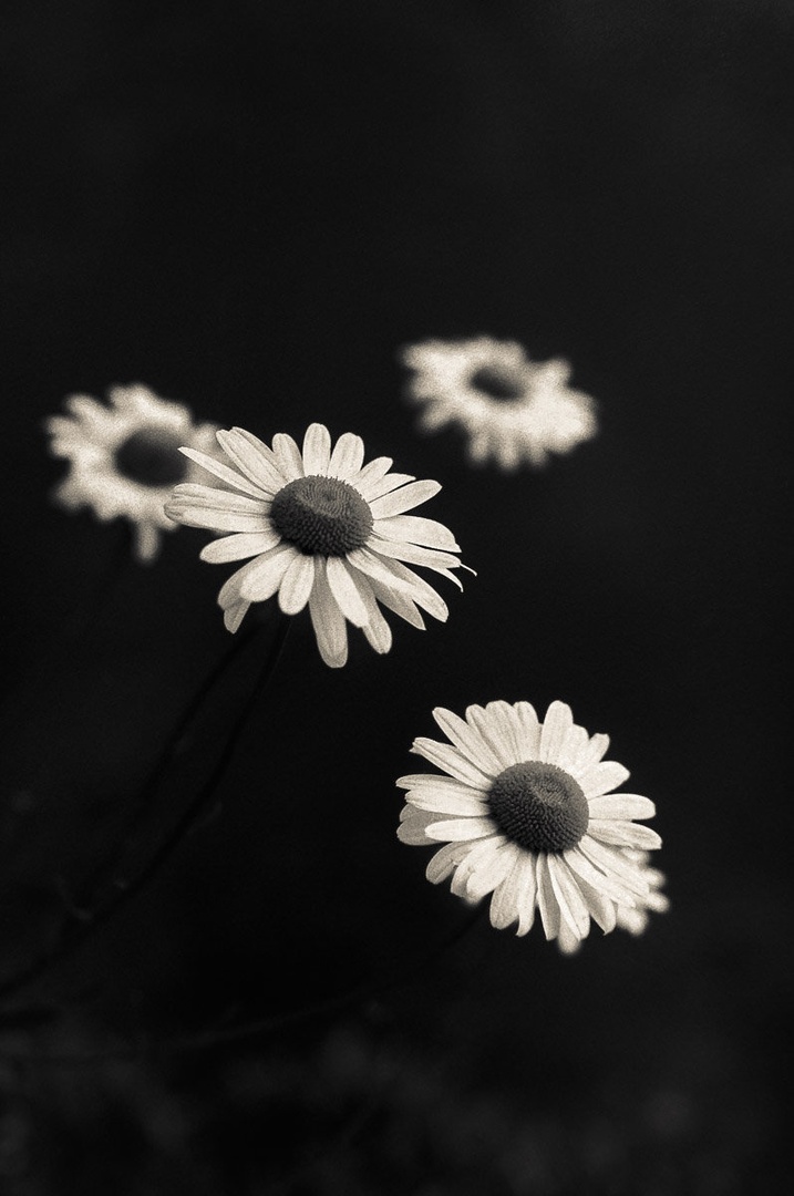 Fours by Tadej Trstenjak