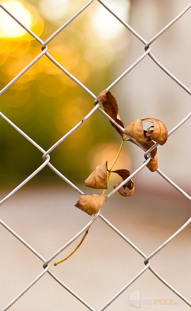 Hang in there by