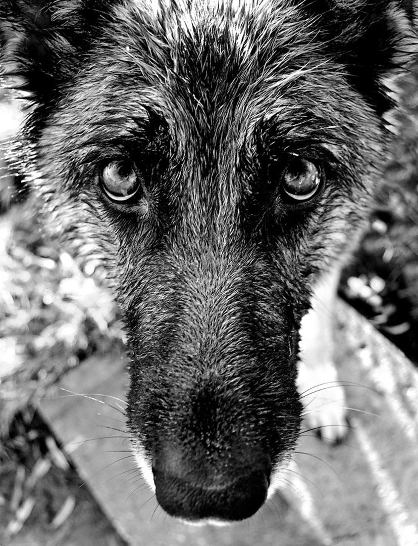 Cita by Jaco P.