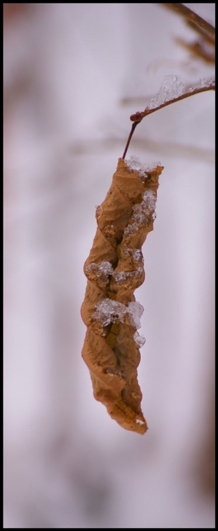 Ledeni objem by