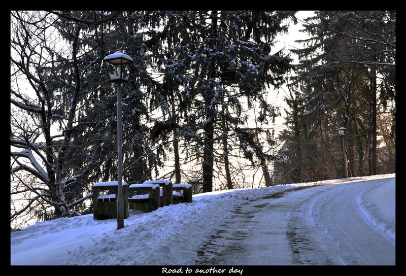 Road to another day by Jasmin Mohorko