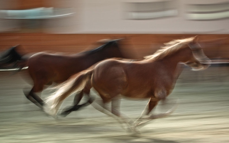 race by Denis Sodrznik