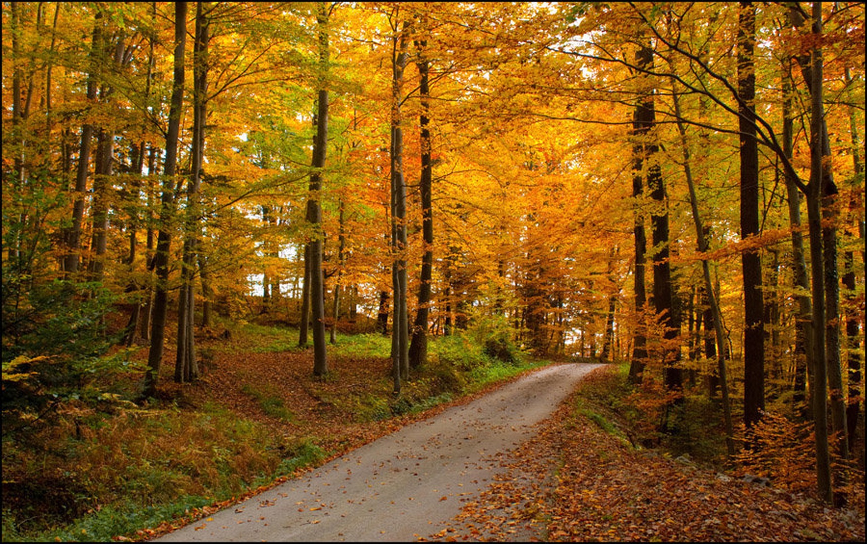 Autumn by Denis Sodrznik