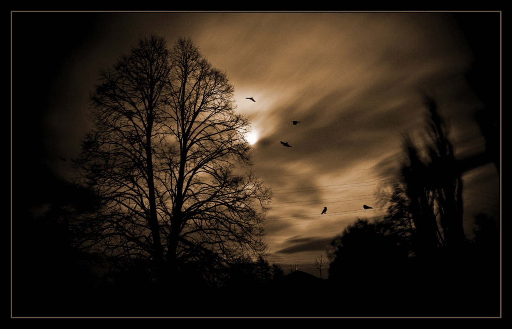 Moonlight shadows by Denis Sodrznik