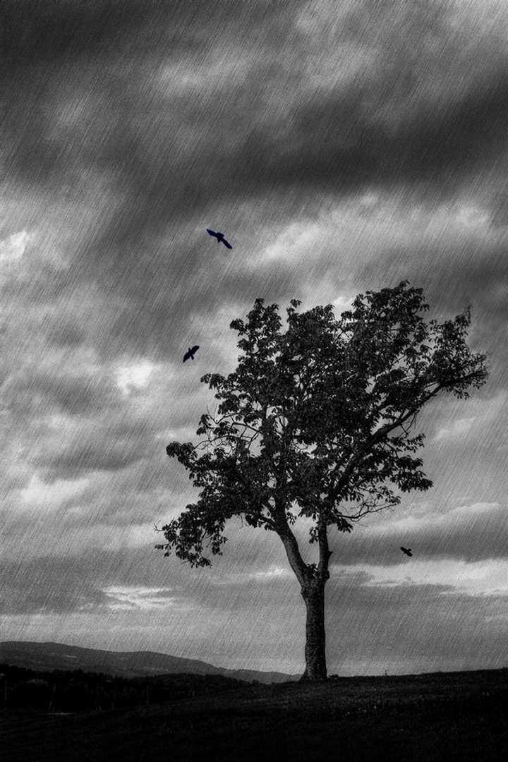 They shall rise by Denis Sodrznik