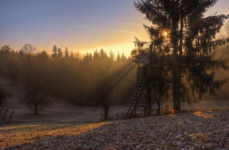 hladno jutro by Denis Sodrznik
