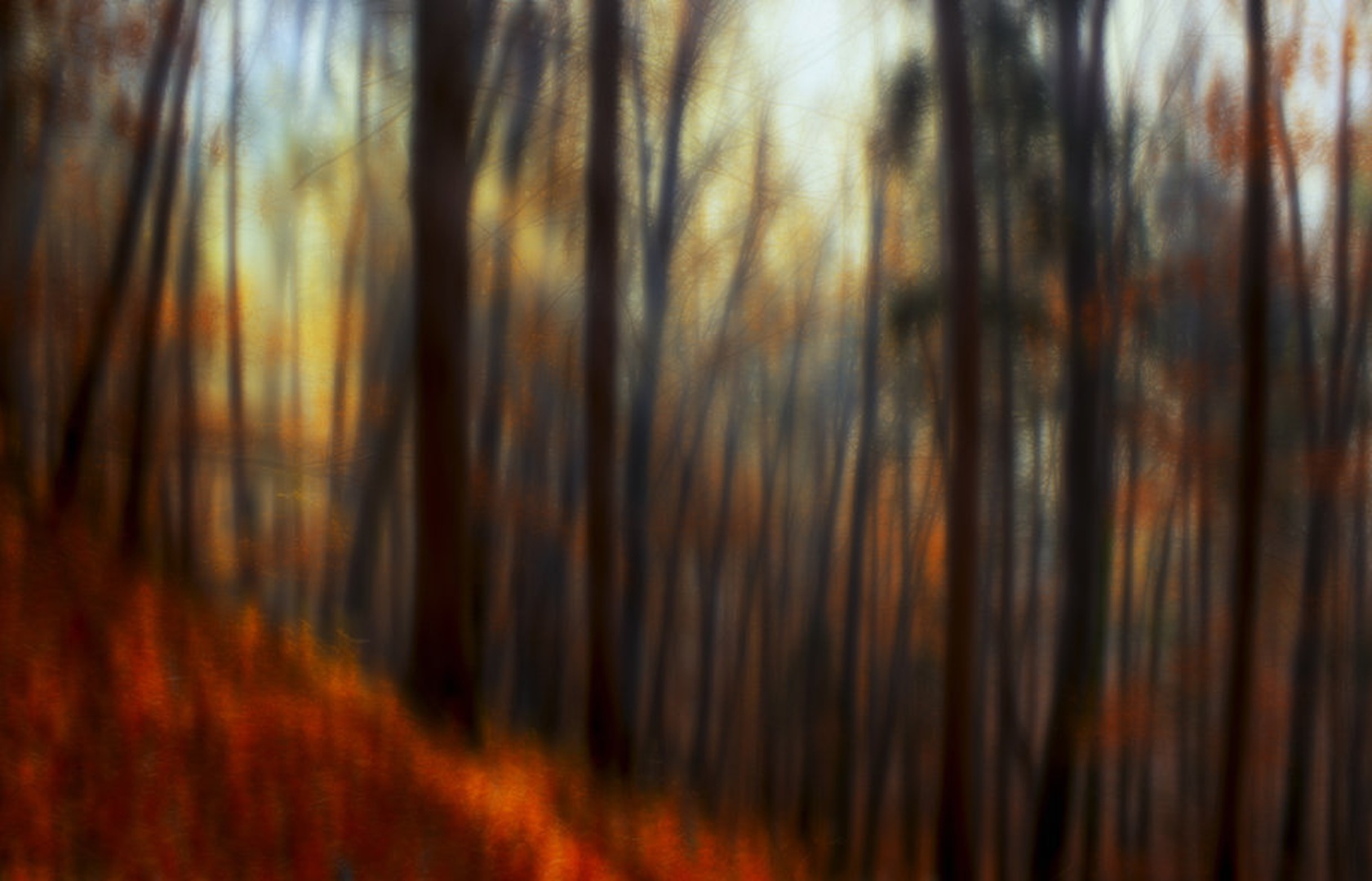 the last breath of autumn by Denis Sodrznik