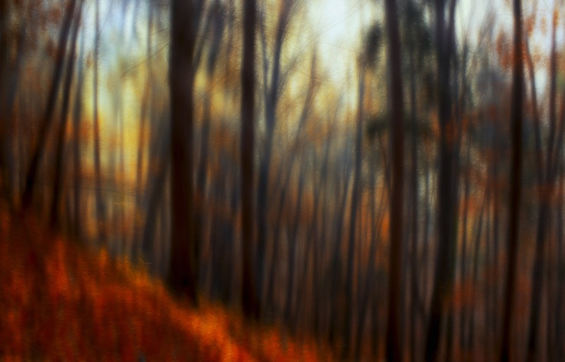 the last breath of autumn by Denis Sodrznik