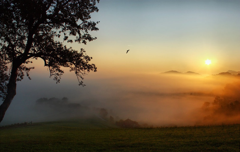 fly away... by Denis Sodrznik