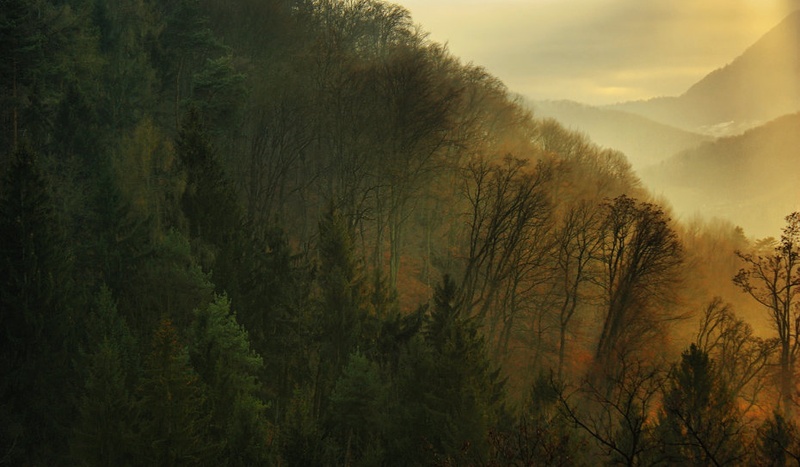 untitled by Denis Sodrznik