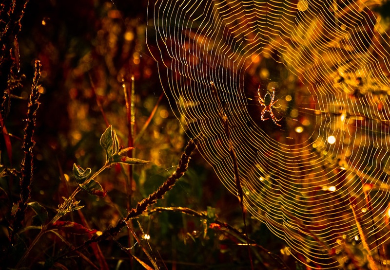 under the light by Denis Sodrznik