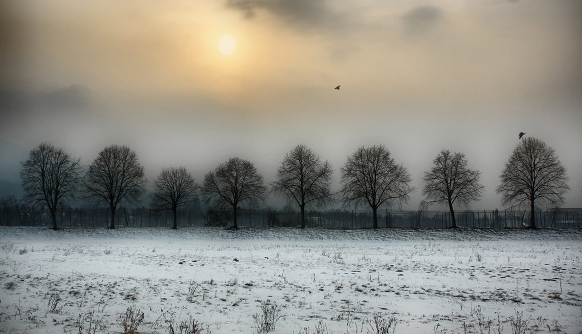 untitled by Denis Sodrznik