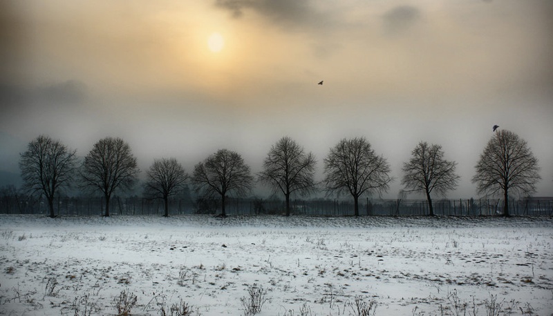 untitled by Denis Sodrznik
