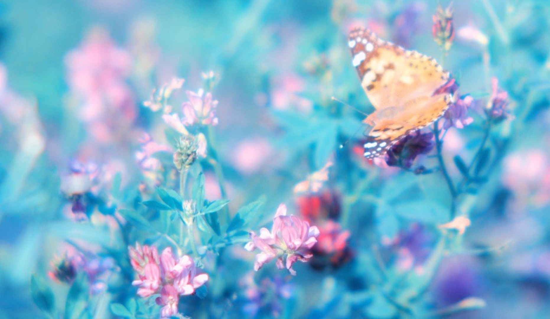 Dream blue by
