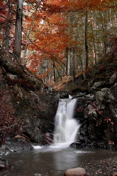 Jesen by Photofreak