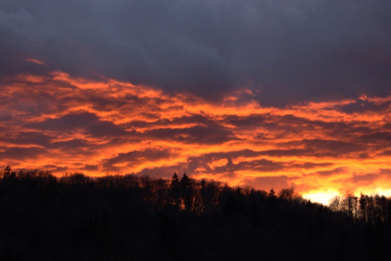On Fire by dobo