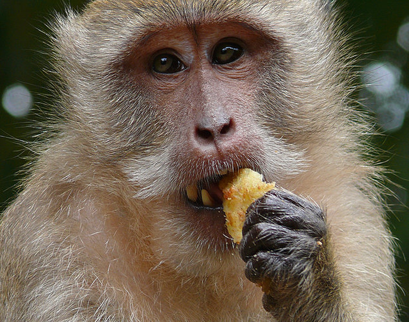 Time for lunch by Primoz