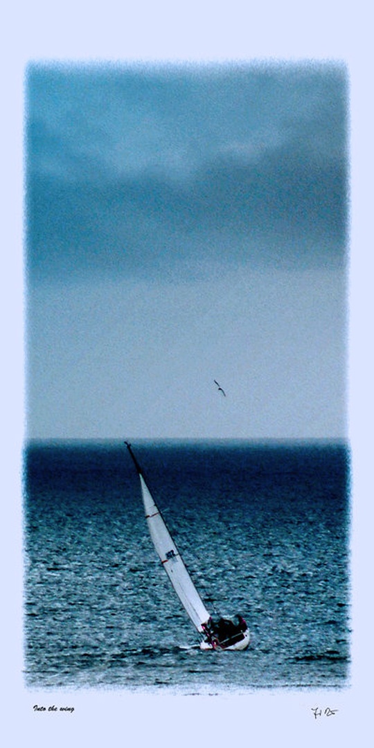 Into the wing by Jernej Dežman