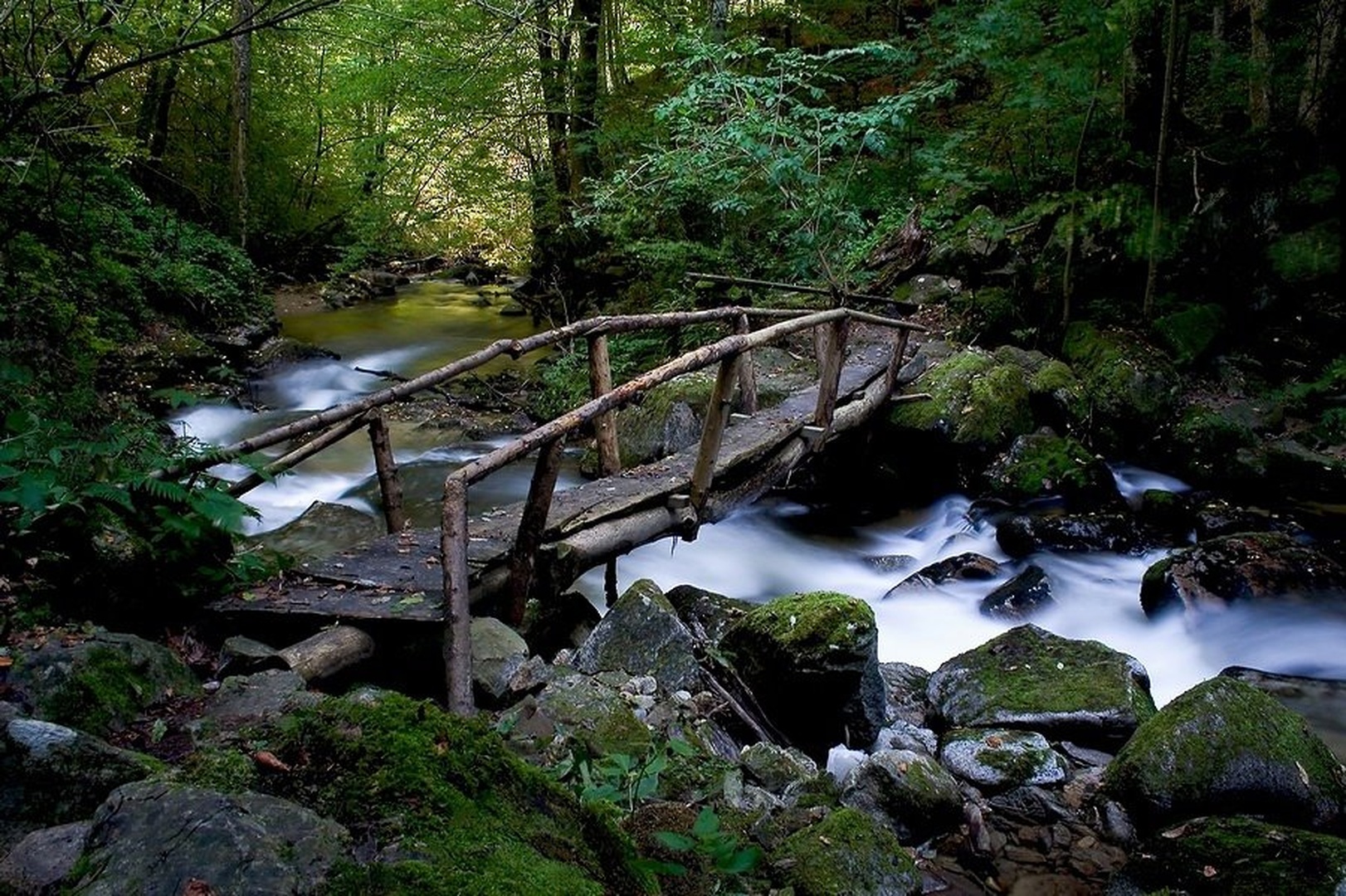 Footbridge to nowhere by Robert Pihlar