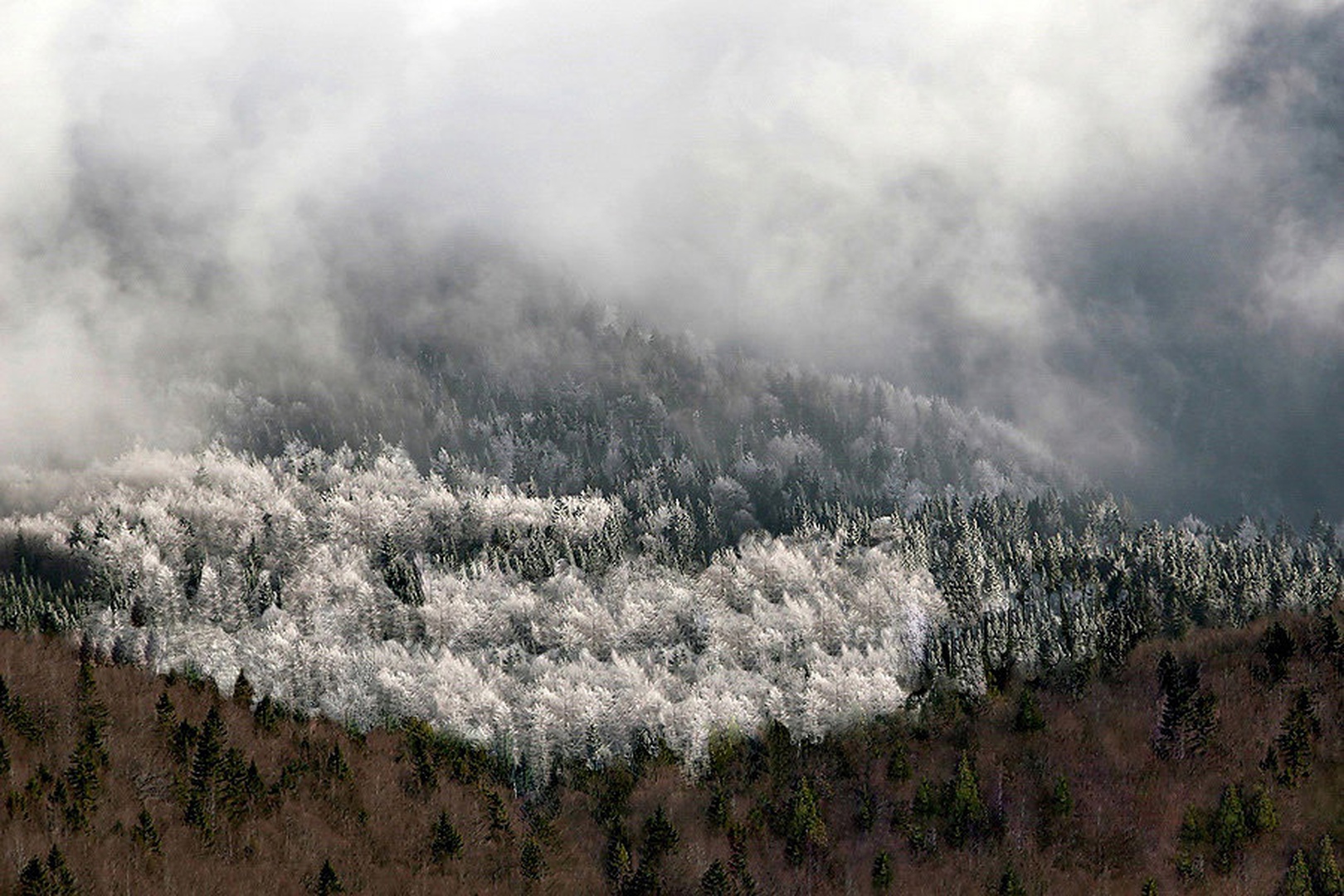 The winter is comming by Robert Pihlar