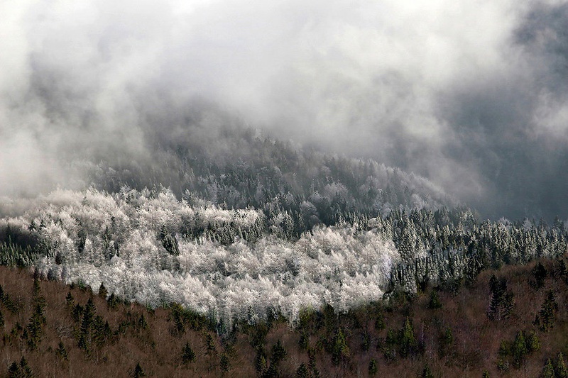 The winter is comming by Robert Pihlar