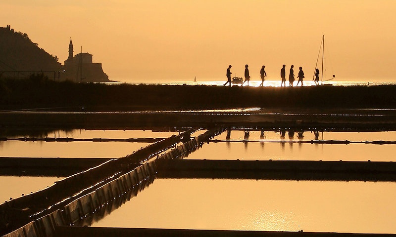 Can't resist the sun by Robert Pihlar