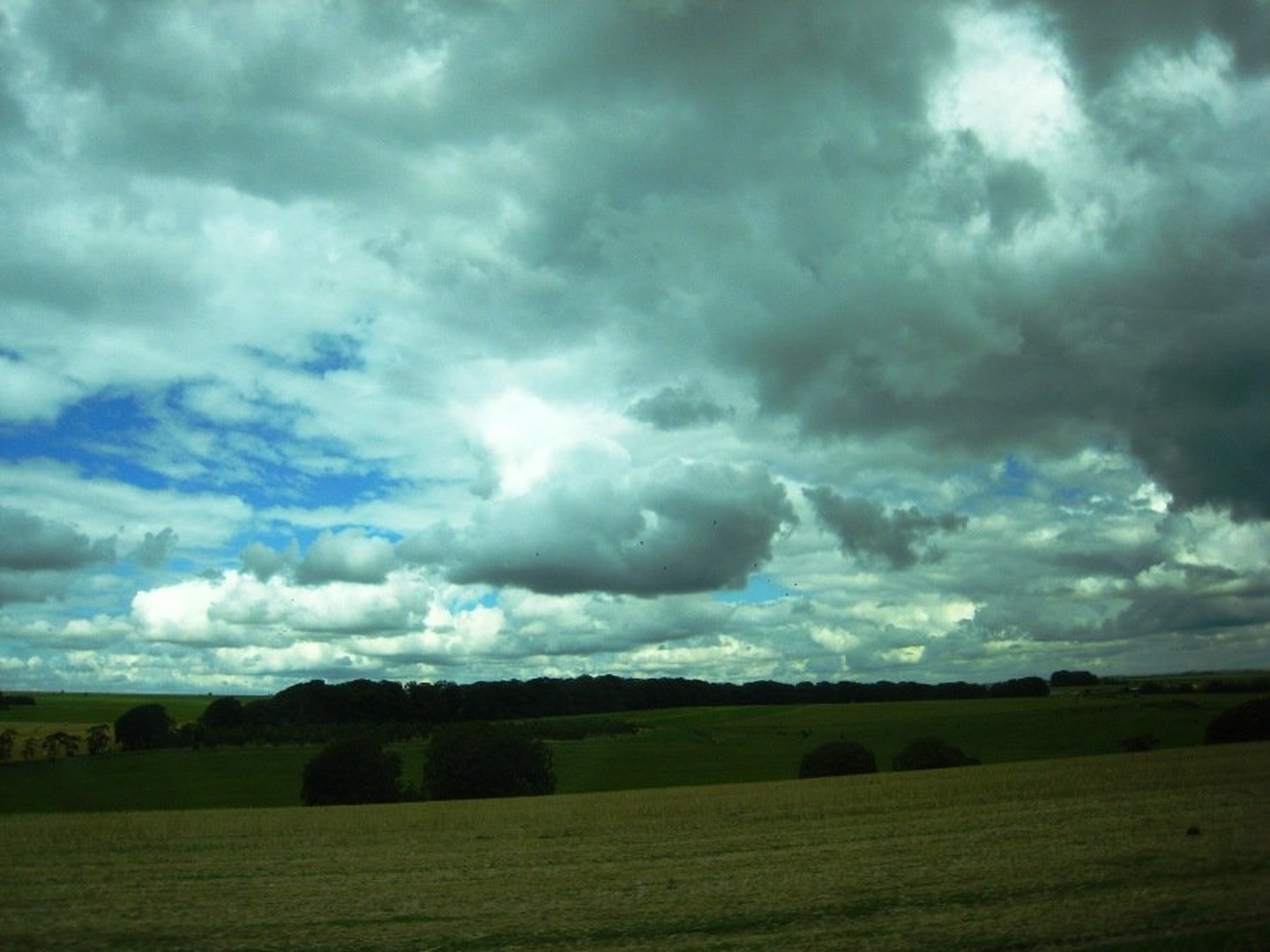nature by