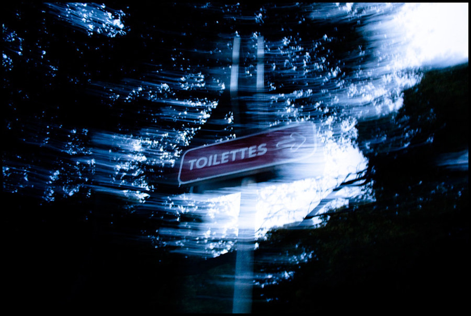Blair Witch Toilettes by