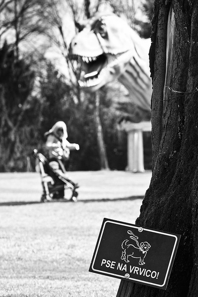 Who Let the Dogs out by paprikas