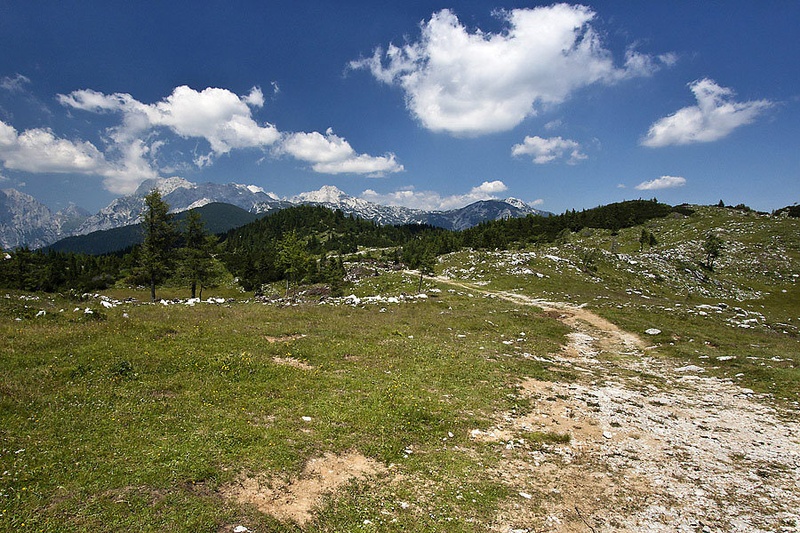 Poletje na Veliki planini by paprikas