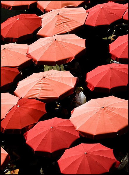 Lost in Red by paprikas