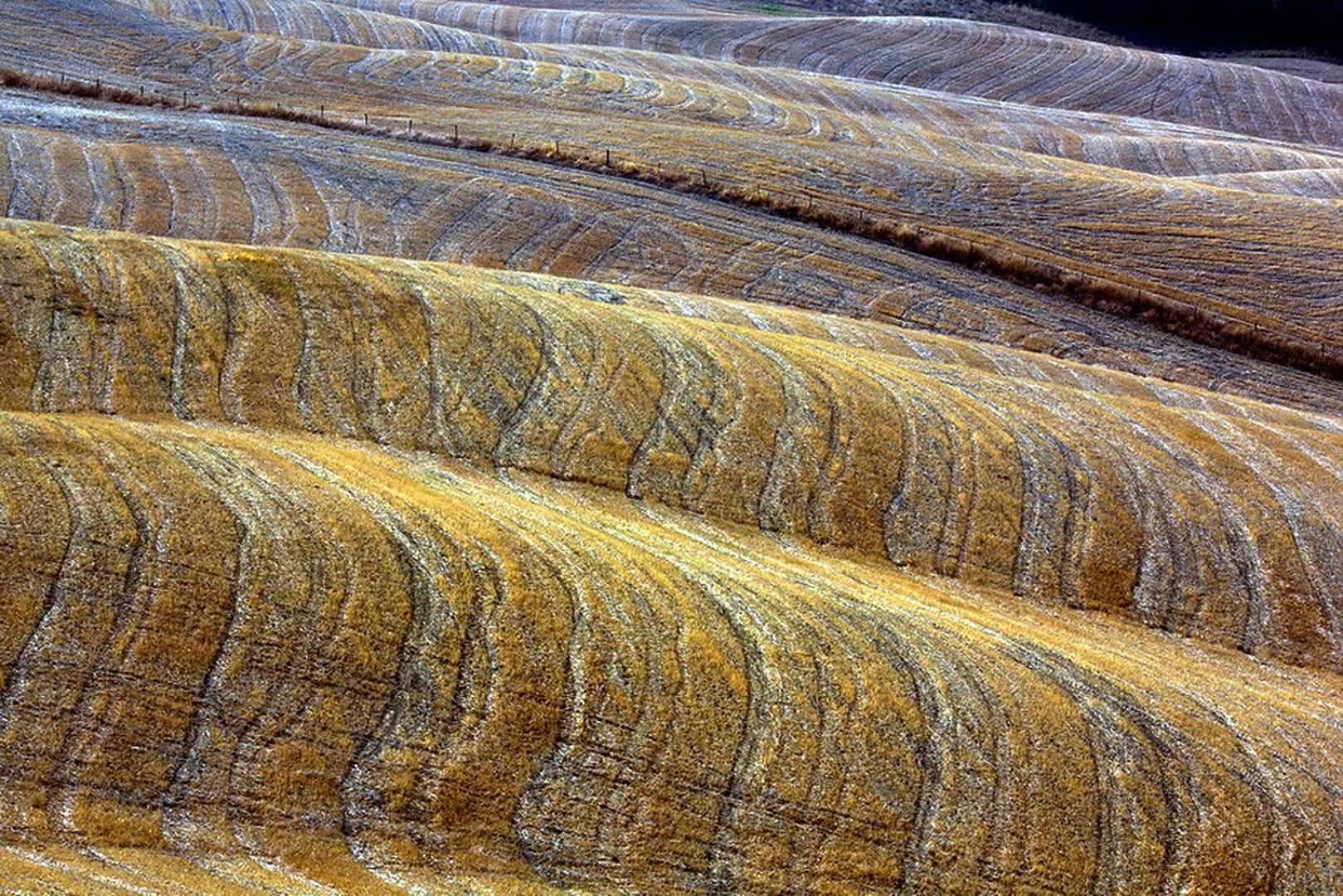 Brazde by