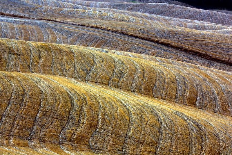 Brazde by paprikas