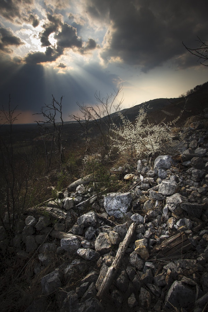 Rebirth by Jure Batagelj