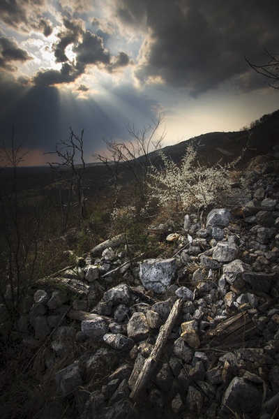 Rebirth by Jure Batagelj