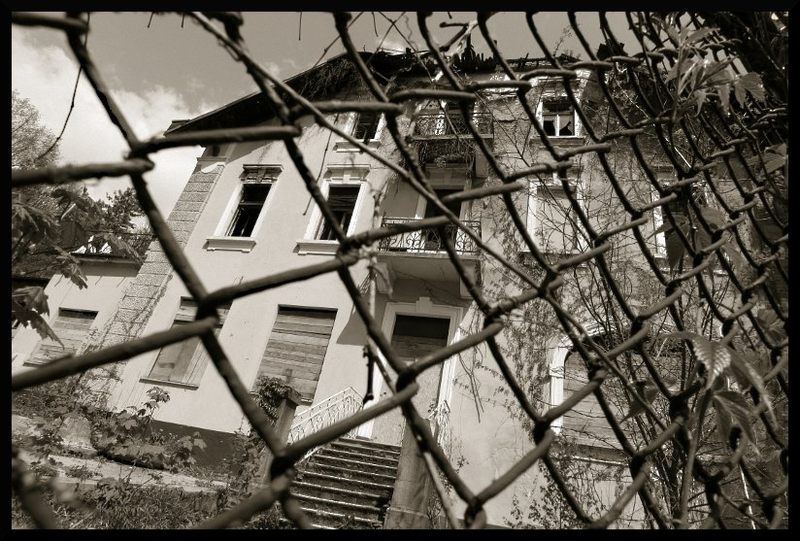 Še vedno belle... by Žiga