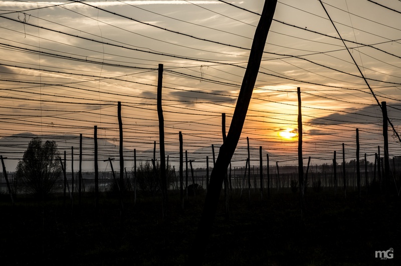 Sunset by Matej G.