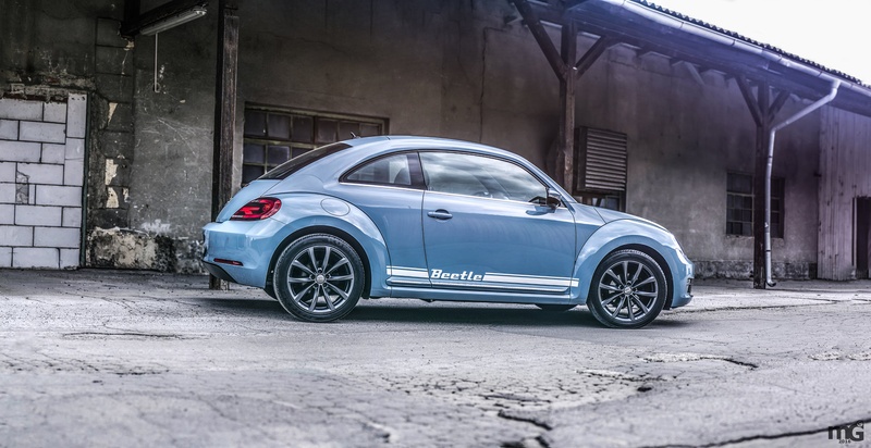 Beetle by Matej G.