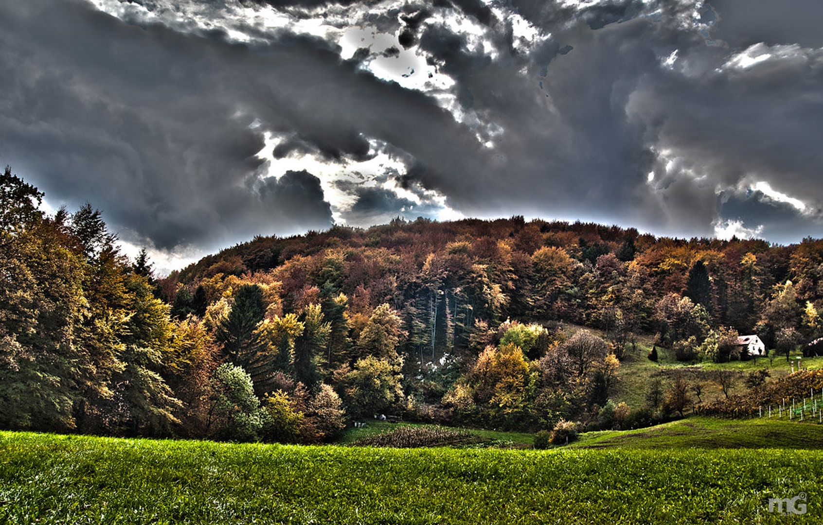Jesen by Matej G.