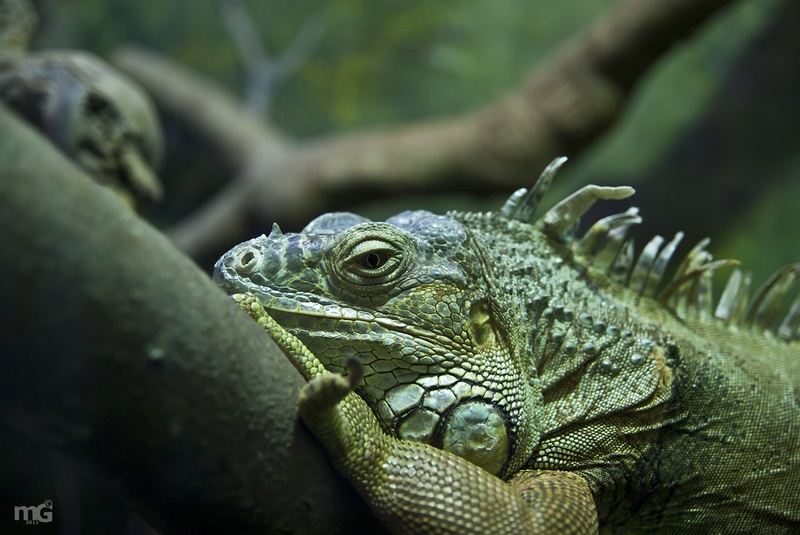 I see you by Matej G.