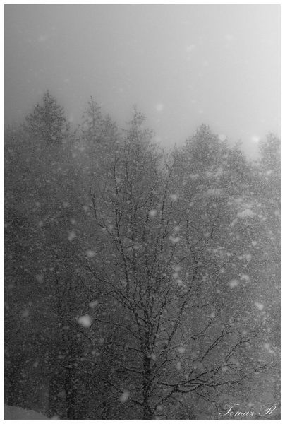 Snežiiii by Tomaz REHAR